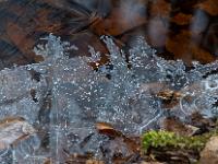 Gezackte Eiswucherung am Ufer eines Moorpriels